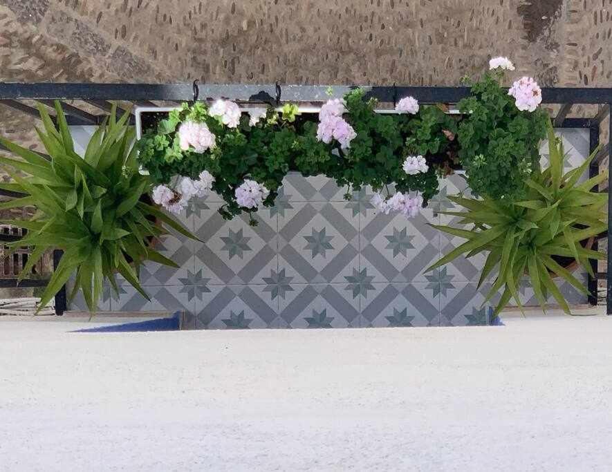 Casa Terrae Casco Antiguo Wifiaa Apartamento Peñíscola Exterior foto